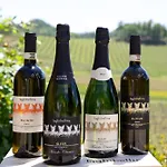 Azienda Agricola La Ghibellina * Gavi