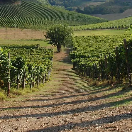 Azienda Agricola La Ghibellina * Gavi