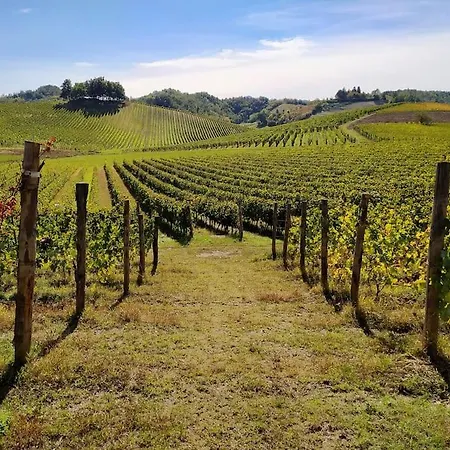 Azienda Agricola La Ghibellina Farm stay