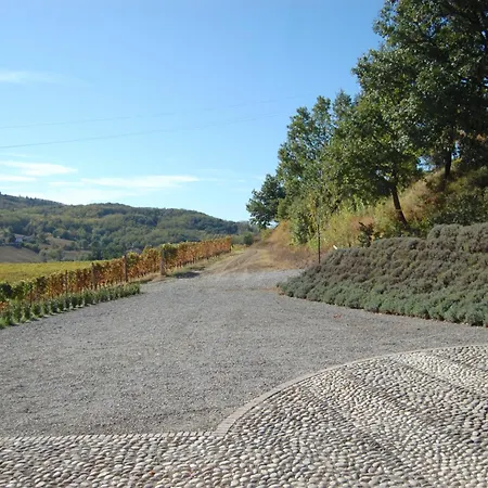 Azienda Agricola La Ghibellina * Gavi