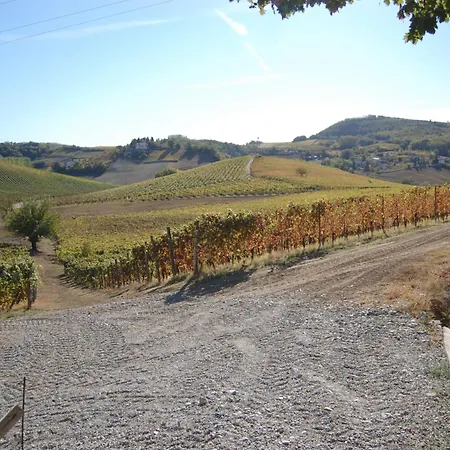Azienda Agricola La Ghibellina Gavi
