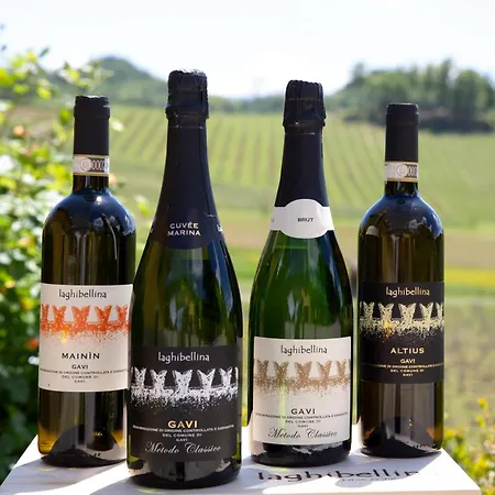 Azienda Agricola La Ghibellina * Gavi