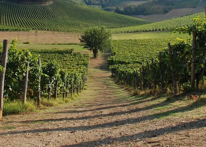 Azienda Agricola La Ghibellina * Gavi