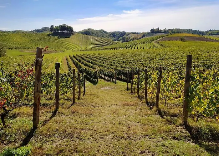 Azienda Agricola La Ghibellina Κατάλυμα σε φάρμα
