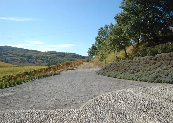 Azienda Agricola La Ghibellina * Gavi