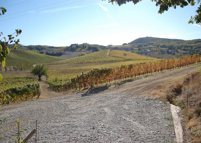 Azienda Agricola La Ghibellina Gavi
