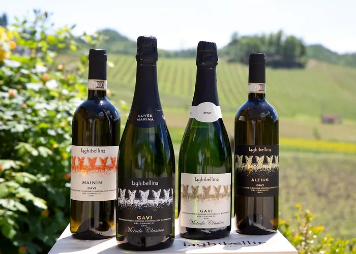 Azienda Agricola La Ghibellina * Gavi